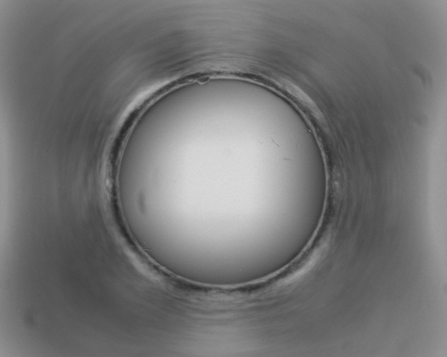 X0000114230981200910091324