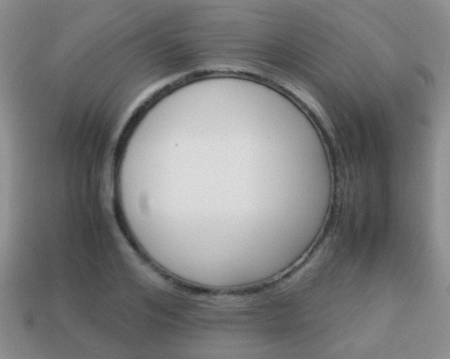 X0000114230984200910091324
