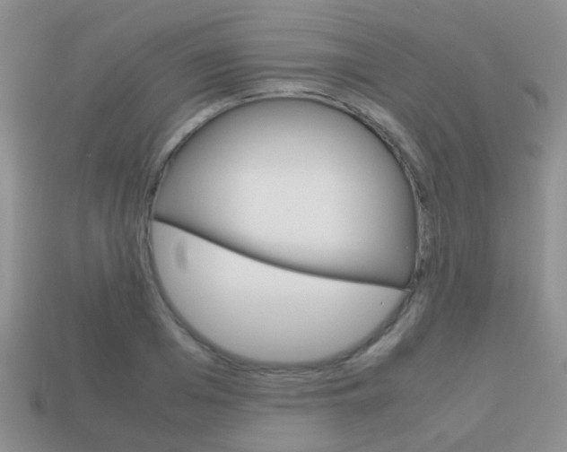 X0000114230985200910091324