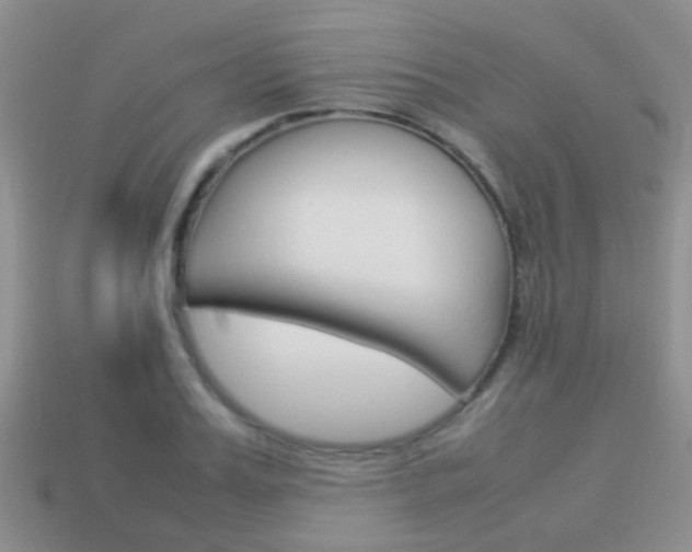 X0000114230987200910091324
