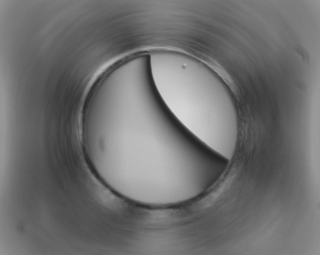 X0000114230988200910091324