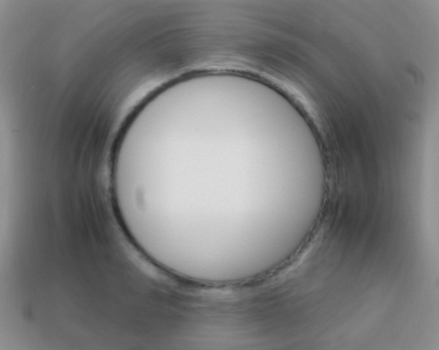 X0000114230990200910091324