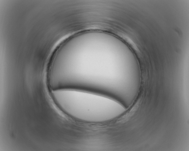 X0000114230991200910091324