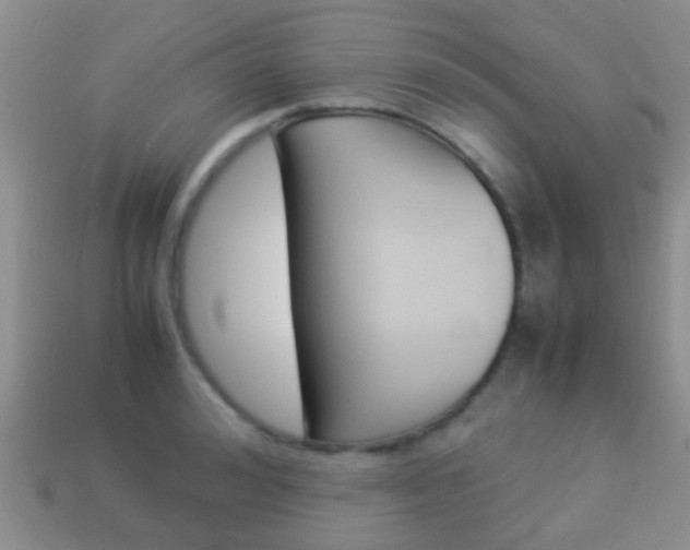 X0000114230992200910091324