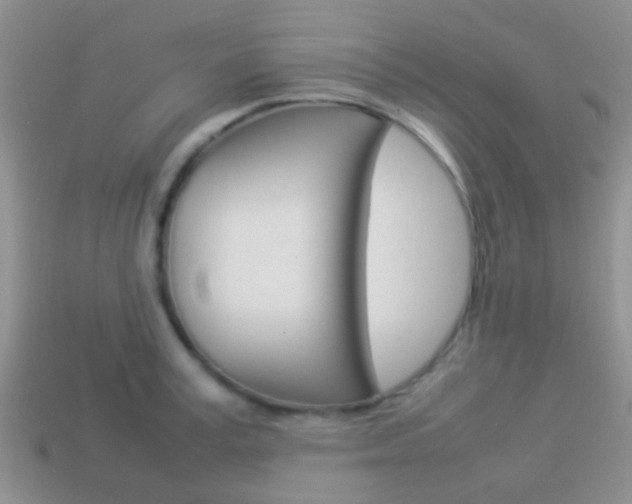 X0000114230995200910091324