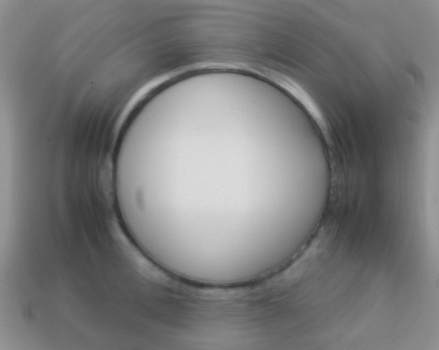 X0000114230996200910091324