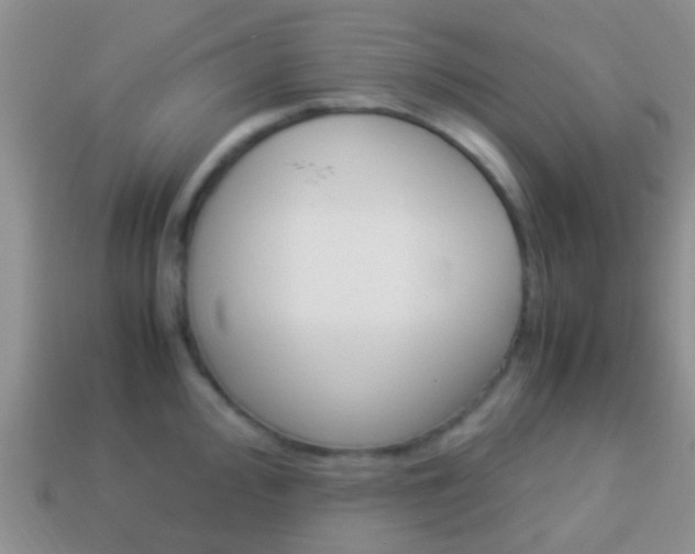 X0000114231000200910091324