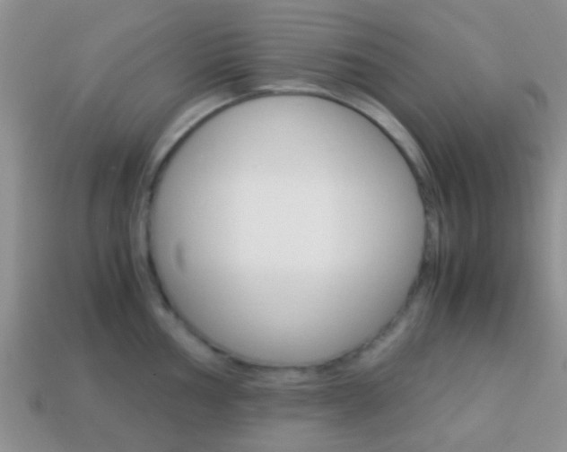 X0000114231002200910091324