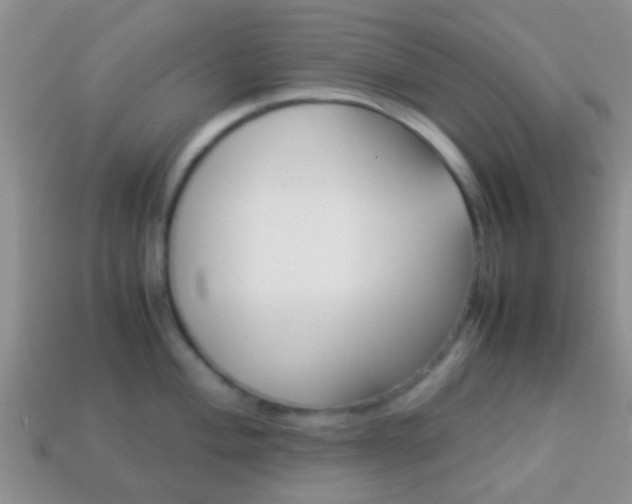 X0000114231004200910091324