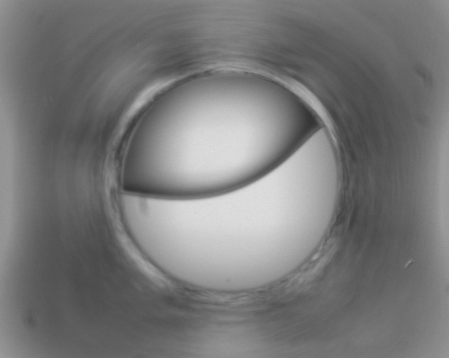 X0000114231005200910091324