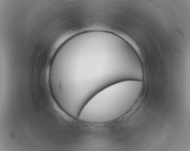 X0000114231006200910091324