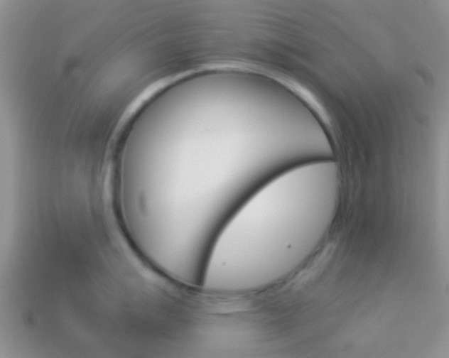 X0000114231007200910091324