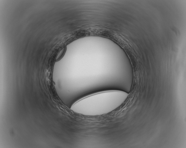 X0000114231010200910091323