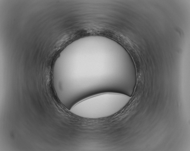 X0000114231012200910091323