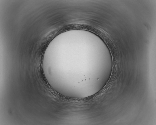 X0000114231014200910091323