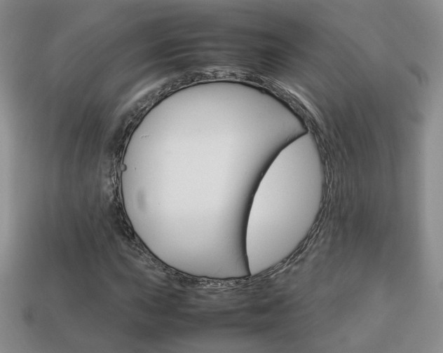 X0000114231015200910091323