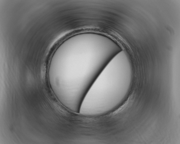 X0000114231021200910091323