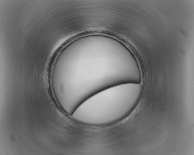 X0000114231022200910091324