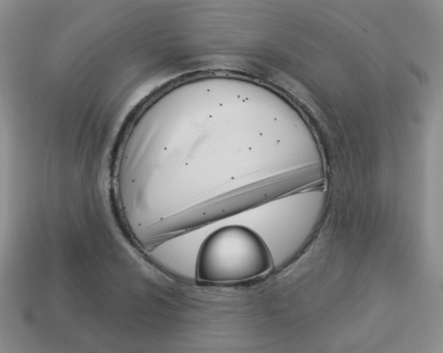 X0000114231024200910091324
