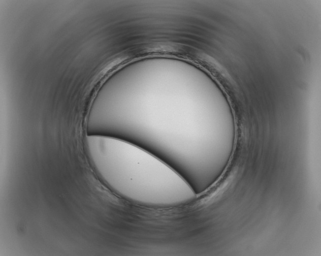 X0000114231025200910091324