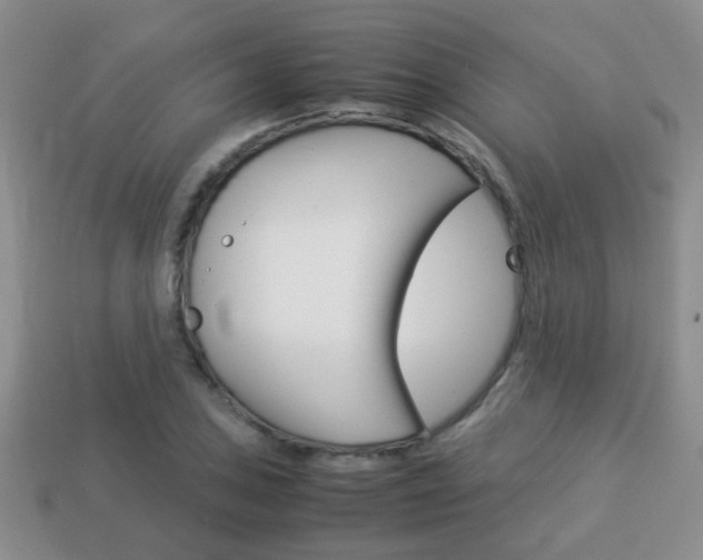 X0000114231027200910091324