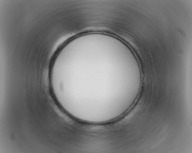 X0000114231030200910091324