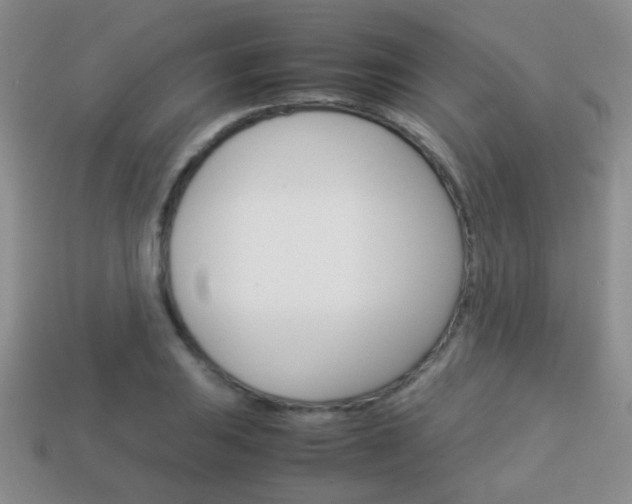 X0000114231031200910091324