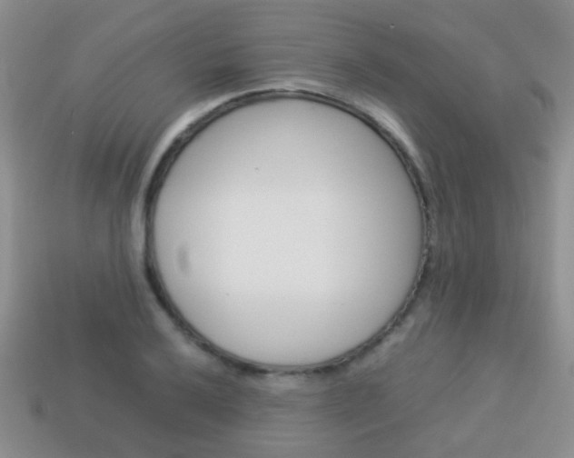 X0000114231032200910091324
