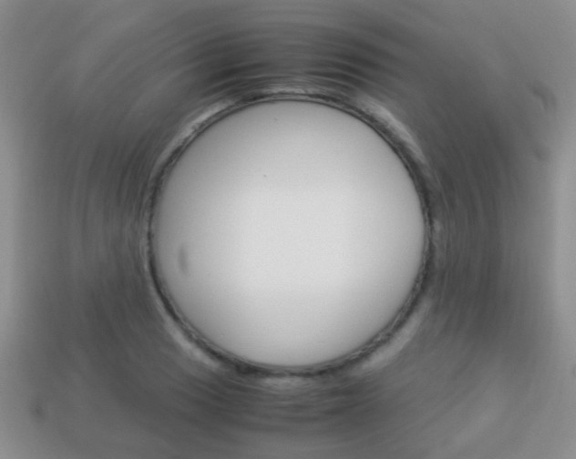 X0000114231033200910091324