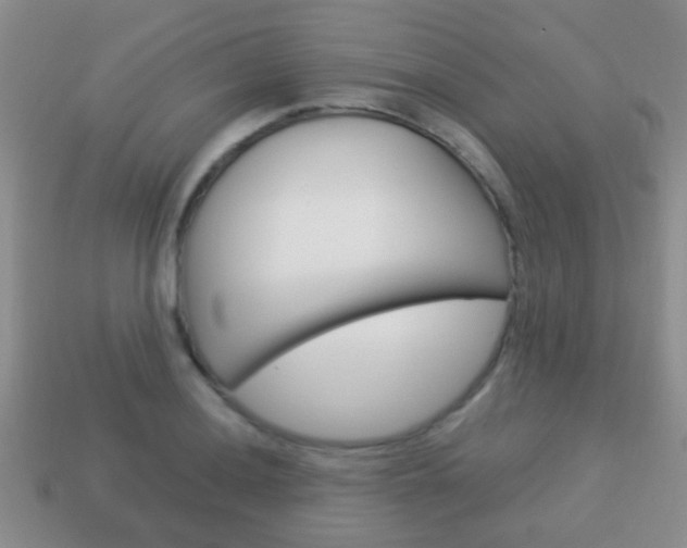 X0000114231036200910091324