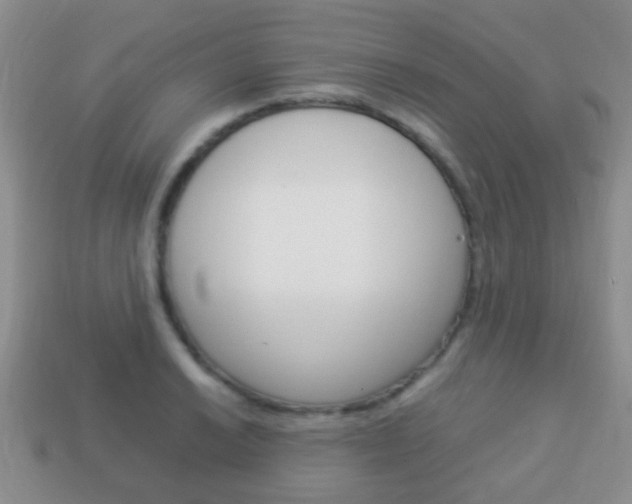 X0000114231038200910091324