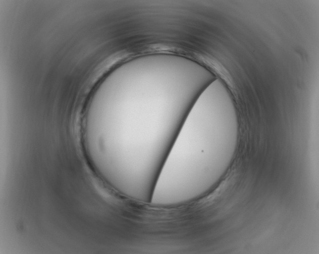 X0000114231039200910091324