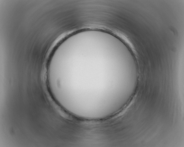 X0000114231040200910091324