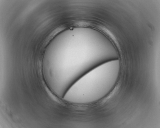 X0000114231041200910091324