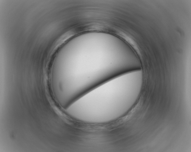 X0000114231042200910091324