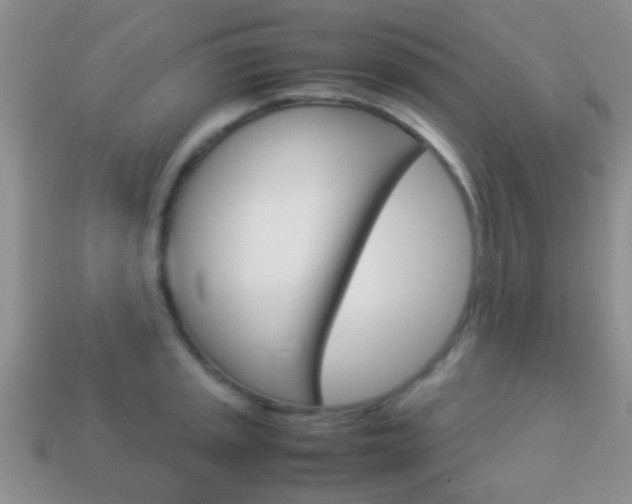 X0000114231045200910091324