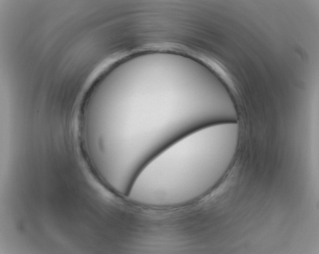 X0000114231046200910091324