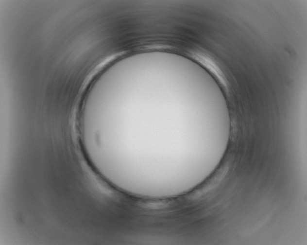 X0000114231047200910091324