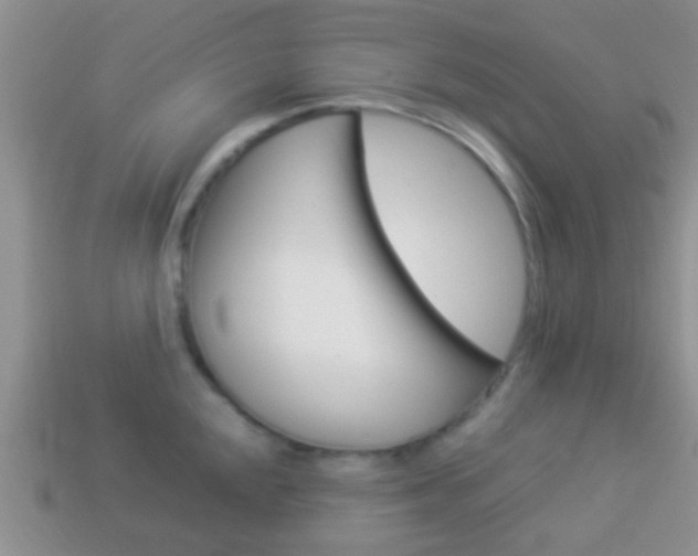 X0000114231048200910091324