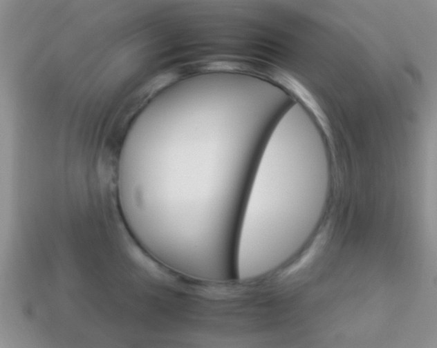 X0000114231049200910091324
