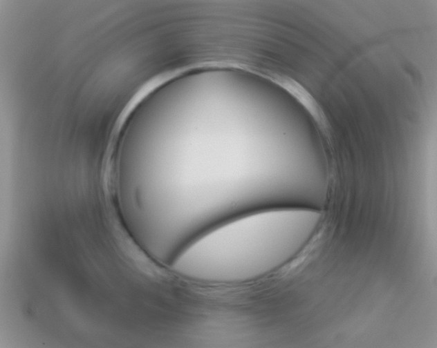 X0000114231052200910091324