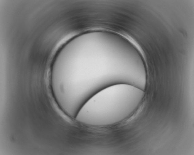 X0000114231053200910091324