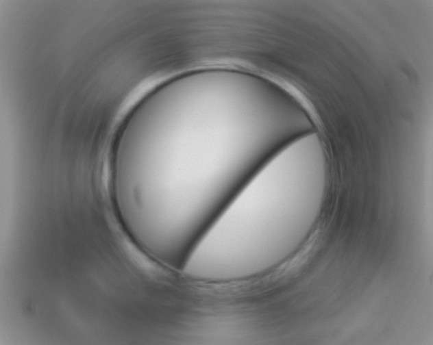 X0000114231054200910091324
