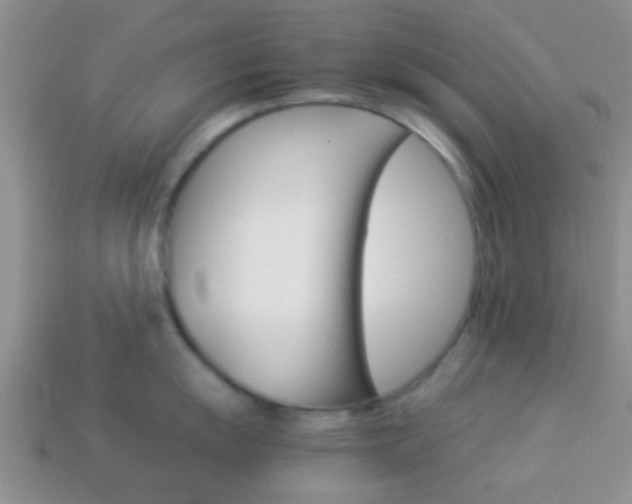 X0000114231055200910091324