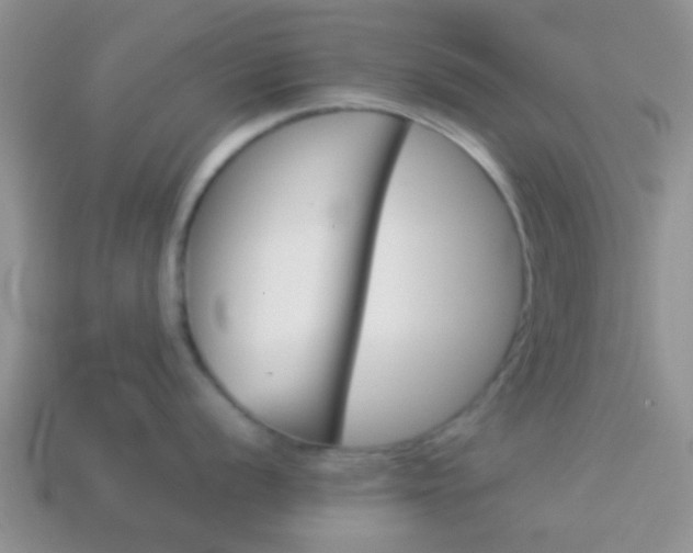 X0000114231056200910091324