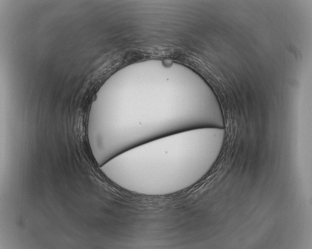 X0000114231058200910091323