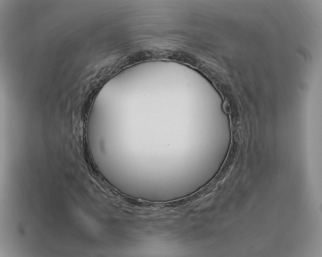 X0000114231061200910091323