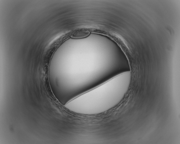 X0000114231064200910091323