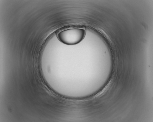X0000114231065200910091323