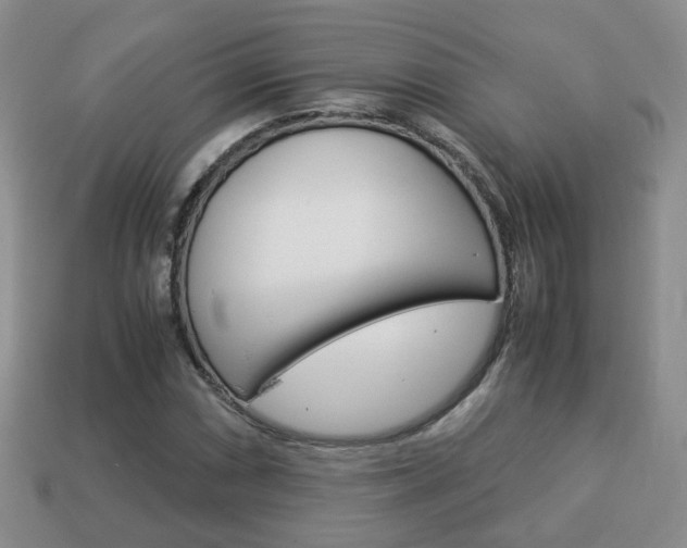 X0000114231066200910091323